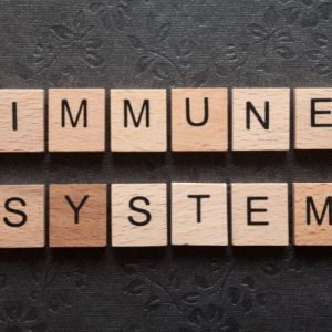 foods to improve your immune system article