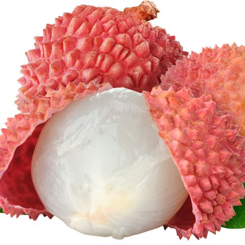 the benefits of litchi article